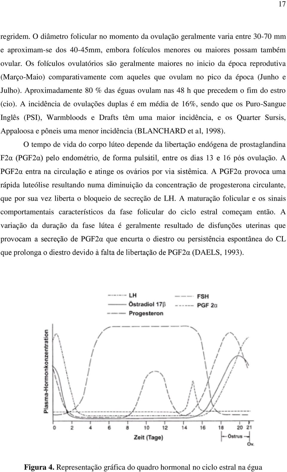 Aproximadamente 80 % das éguas ovulam nas 48 h que precedem o fim do estro (cio).