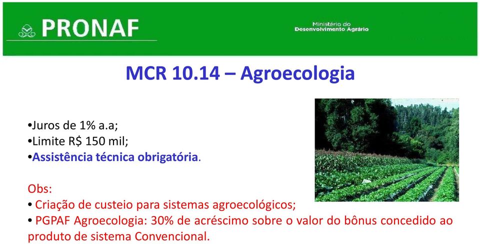 Obs: Criação de custeio para sistemas agroecológicos; PGPAF