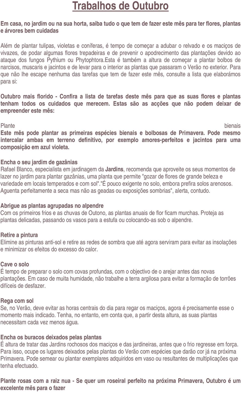 Esta é também a altura de começar a plantar bolbos de narcisos, muscaris e jacintos e de levar para o interior as plantas que passaram o Verão no exterior.