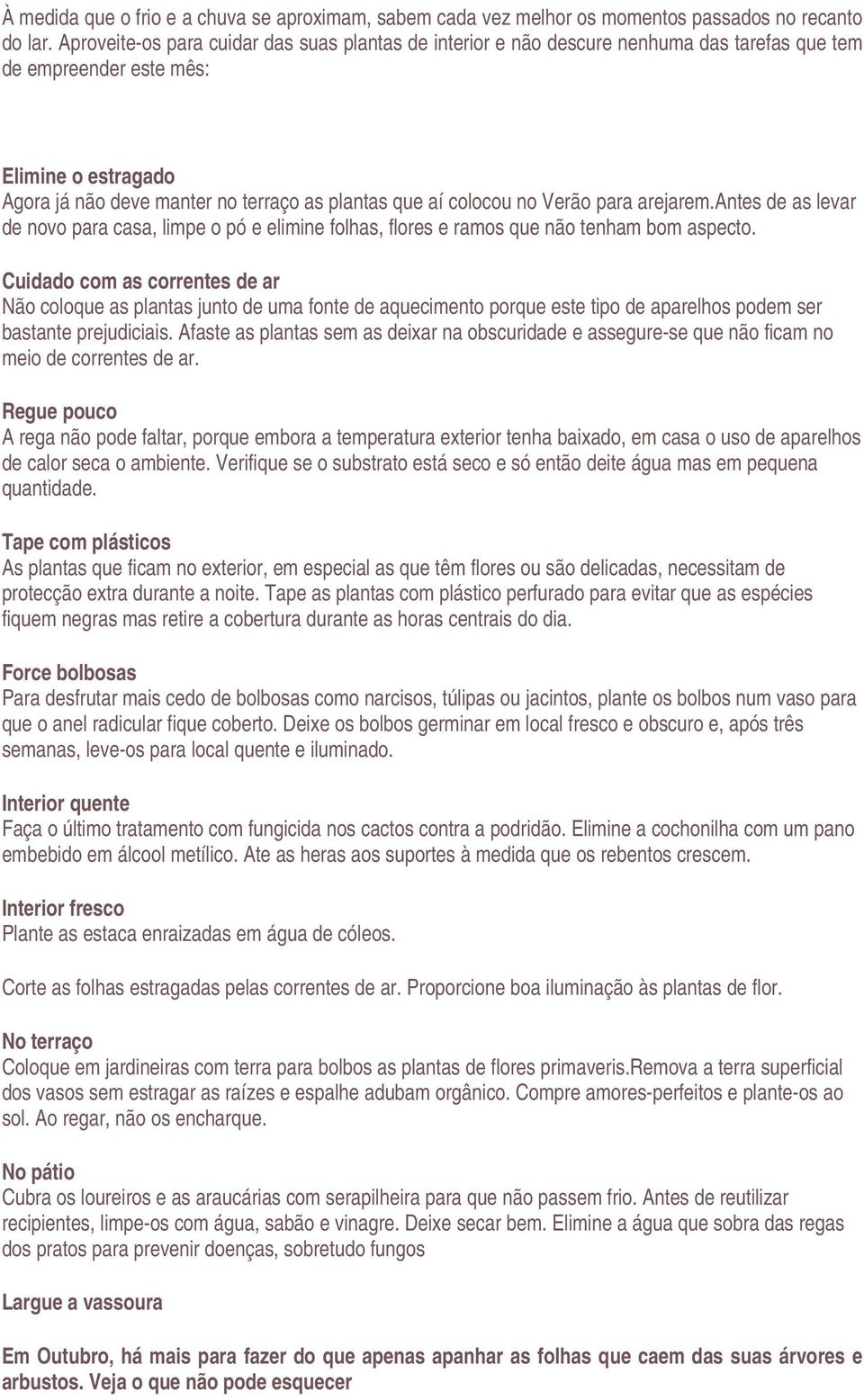 colocou no Verão para arejarem.antes de as levar de novo para casa, limpe o pó e elimine folhas, flores e ramos que não tenham bom aspecto.