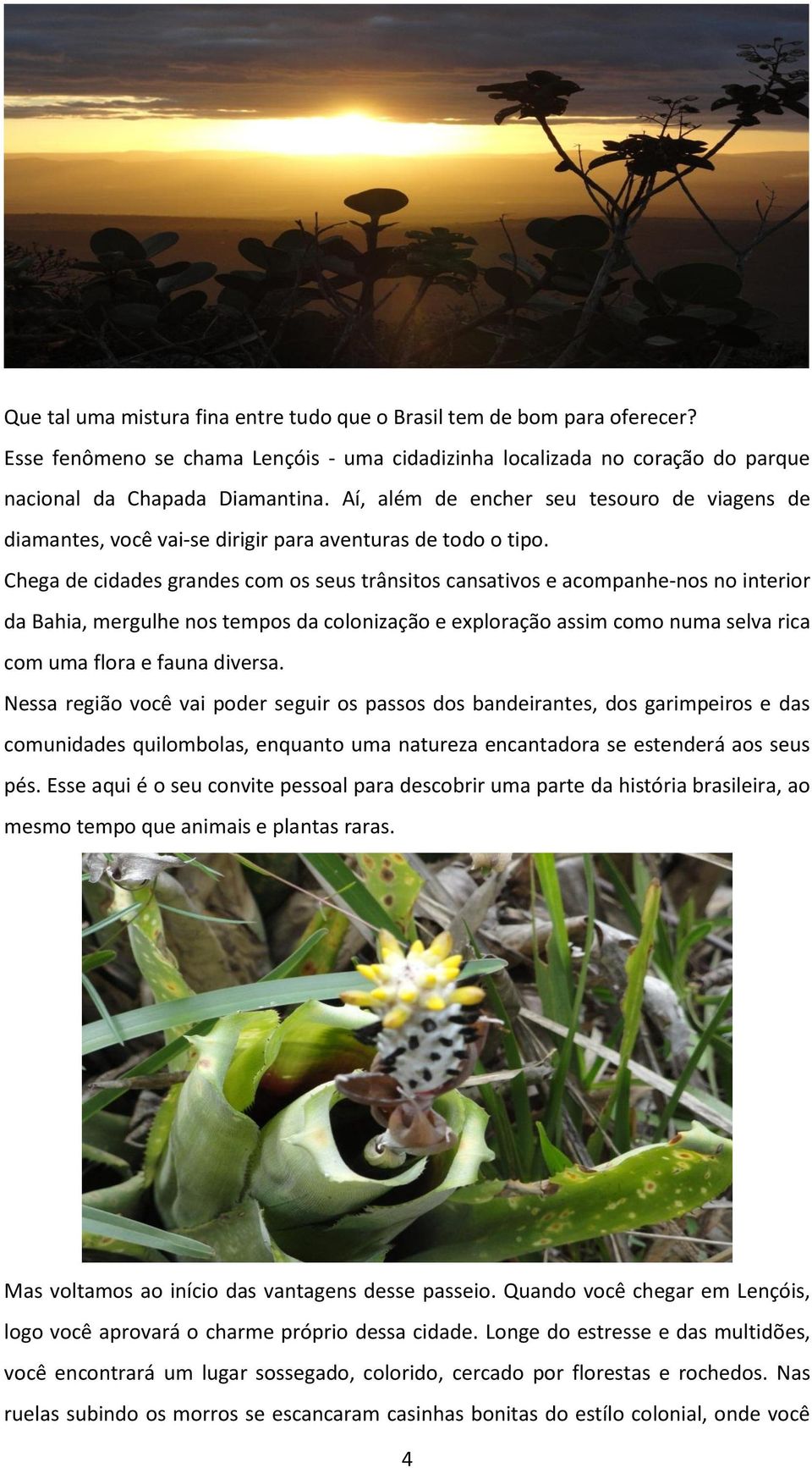 Chega de cidades grandes com os seus trânsitos cansativos e acompanhe-nos no interior da Bahia, mergulhe nos tempos da colonização e exploração assim como numa selva rica com uma flora e fauna