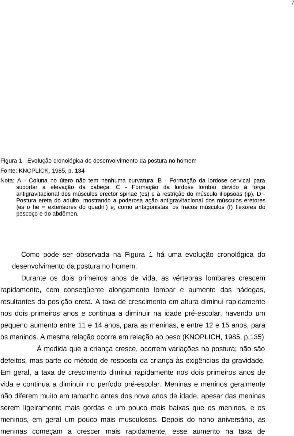 C - Formação da lordose lombar devido à força antigravitacional dos músculos erector spinae (es) e à restrição do músculo iliopsoas (ip).