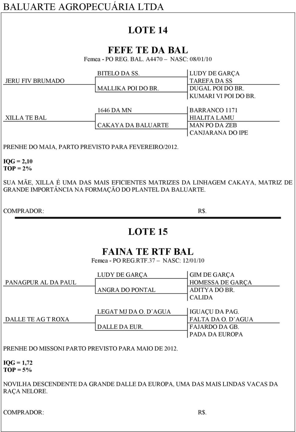 IQG = 2,10 TOP = 2% SUA MÃE, XILLA É UMA DAS MAIS EFICIENTES MATRIZES DA LINHAGEM CAKAYA, MATRIZ DE GRANDE IMPORTÂNCIA NA FORMAÇÃO DO PLANTEL DA BALUARTE. LOTE 15 FAINA TE RTF 