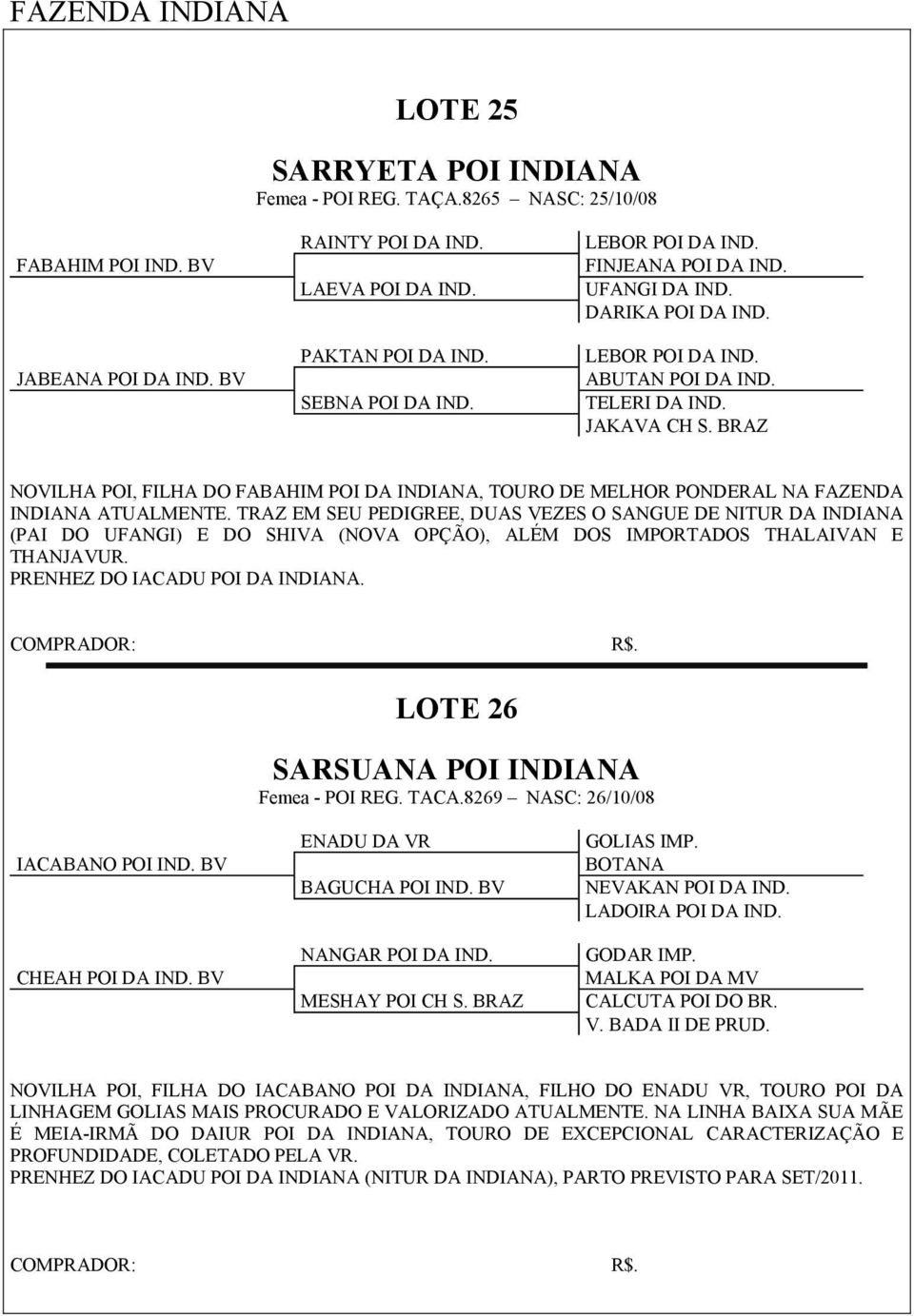 BRAZ NOVILHA POI, FILHA DO FABAHIM POI DA INDIANA, TOURO DE MELHOR PONDERAL NA FAZENDA INDIANA ATUALMENTE.