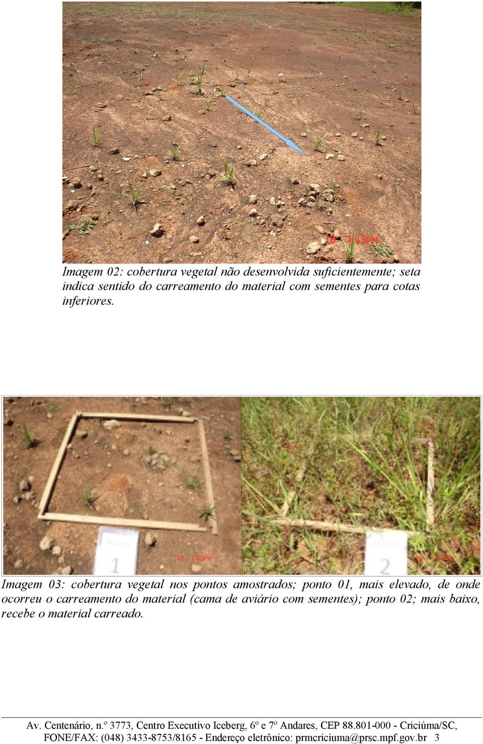 Imagem 03: cobertura vegetal nos pontos amostrados; ponto 01, mais elevado, de onde ocorreu o carreamento