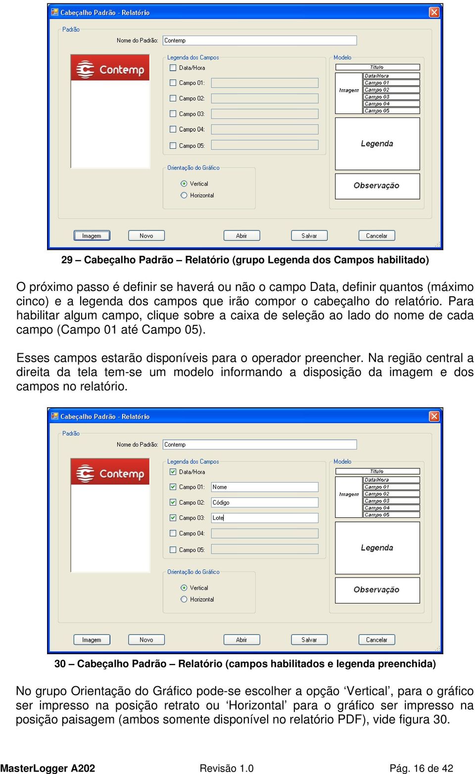 Na região central a direita da tela tem-se um modelo informando a disposição da imagem e dos campos no relatório.