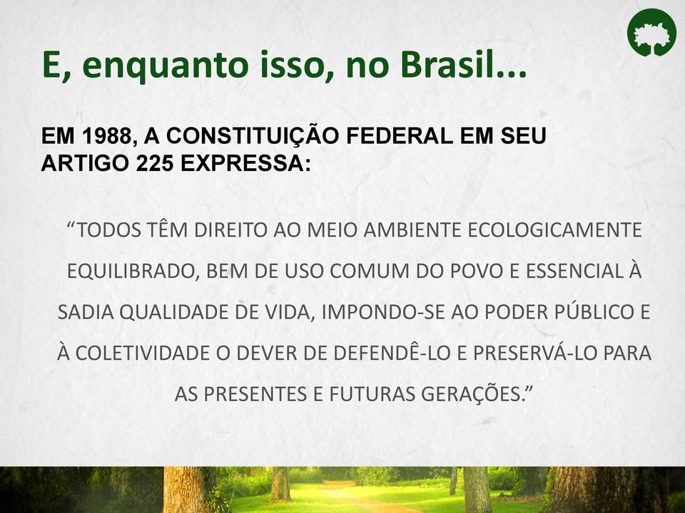 MEIO AMBIENTE ECOLOGICAMENTE EQUILIBRADO, BEM DE USO COMUM DO POVO E ESSENCIAL À