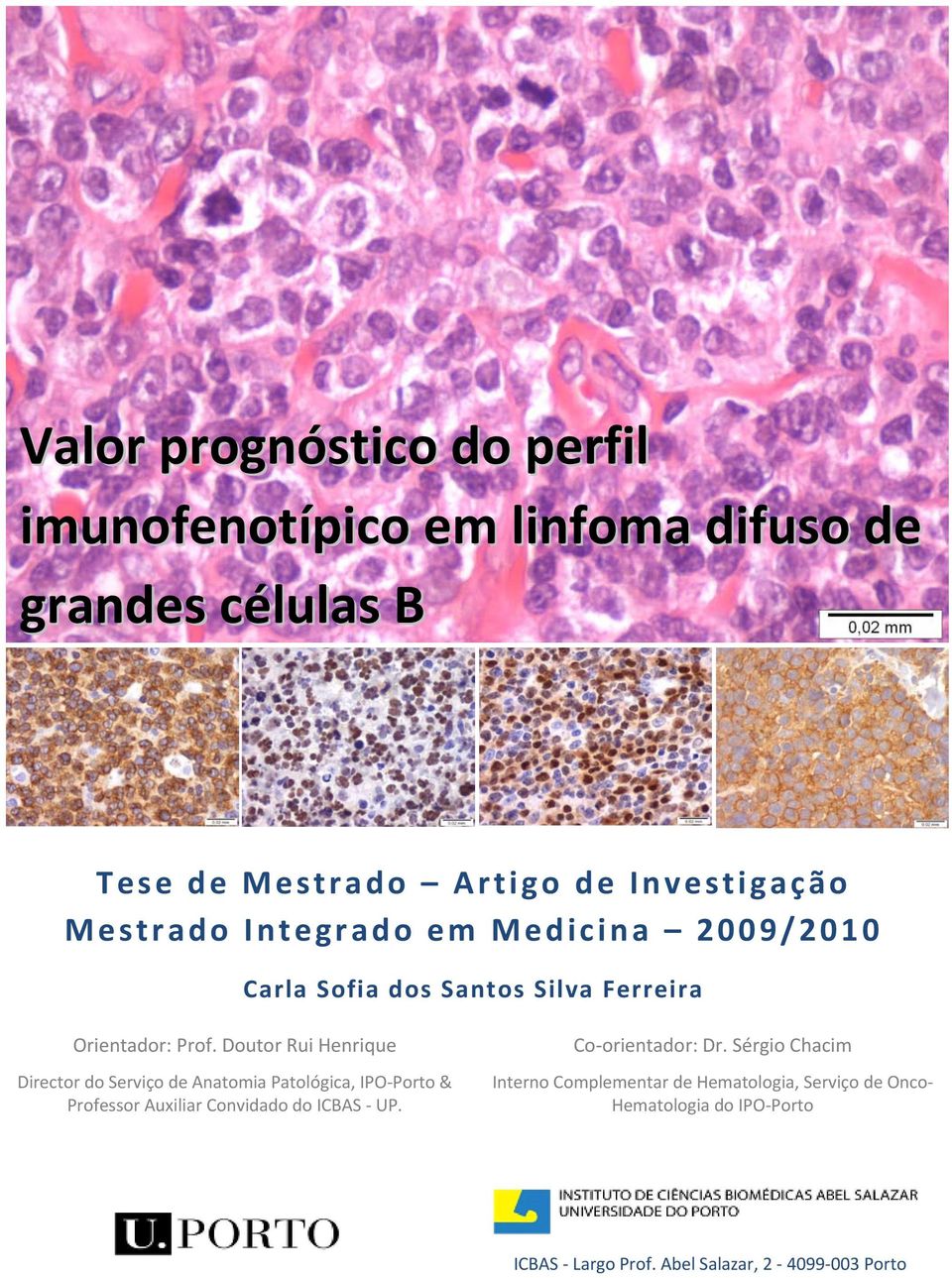 Doutor Rui Henrique Director do Serviço de Anatomia Patológica, IPO-Porto & Professor Auxiliar Convidado do ICBAS - UP.