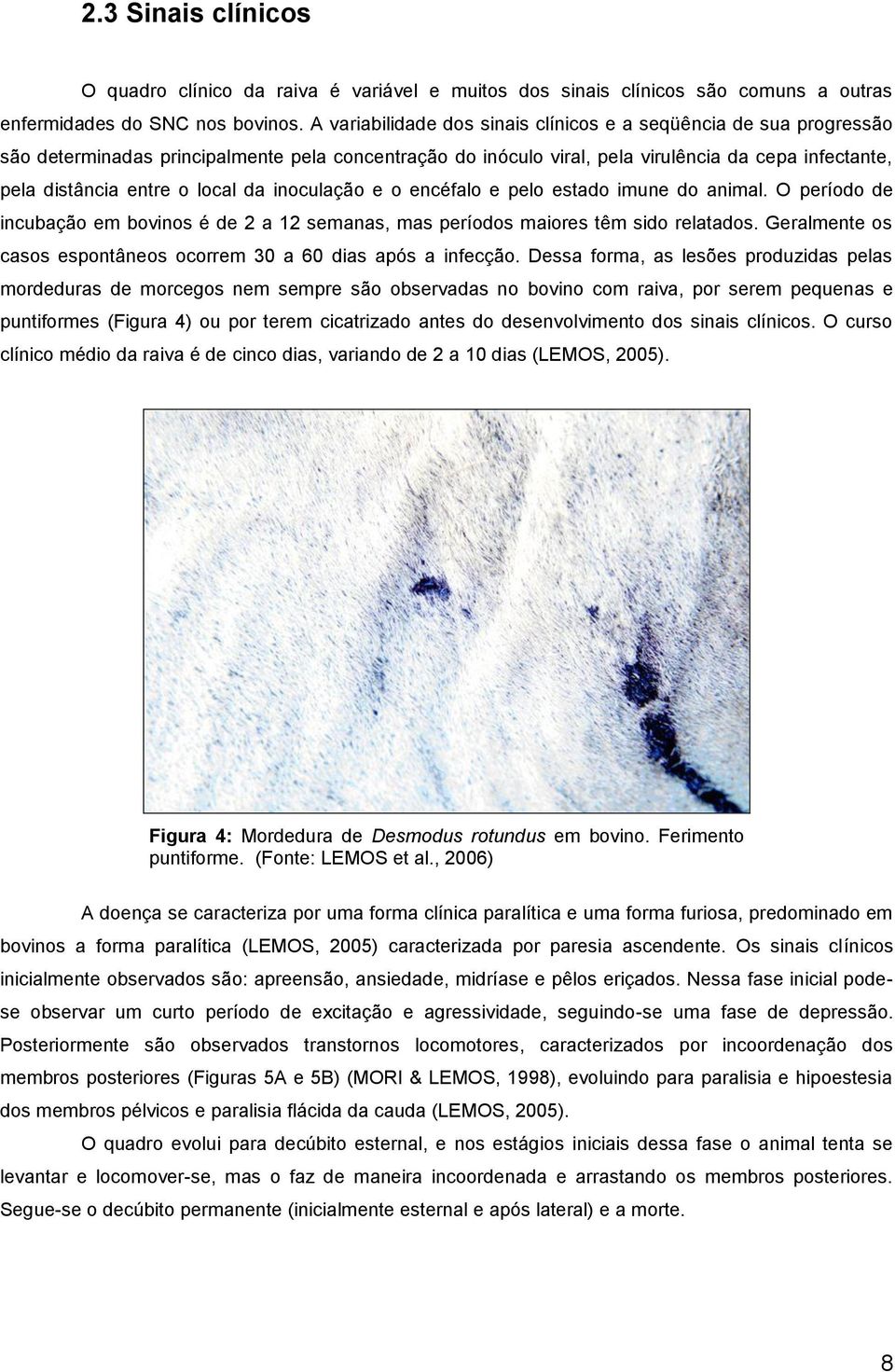 local da inoculação e o encéfalo e pelo estado imune do animal. O período de incubação em bovinos é de 2 a 12 semanas, mas períodos maiores têm sido relatados.