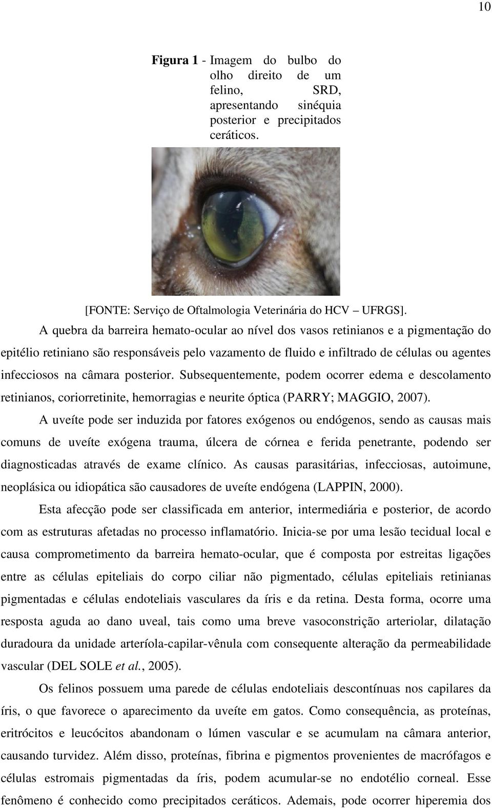 câmara posterior. Subsequentemente, podem ocorrer edema e descolamento retinianos, coriorretinite, hemorragias e neurite óptica (PARRY; MAGGIO, 2007).