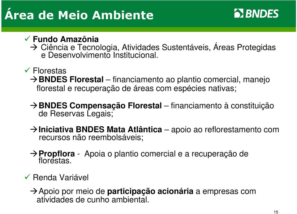 Florestal financiamento à constituição de Reservas Legais; Iniciativa BNDES Mata Atlântica apoio ao reflorestamento com recursos não reembolsáveis;