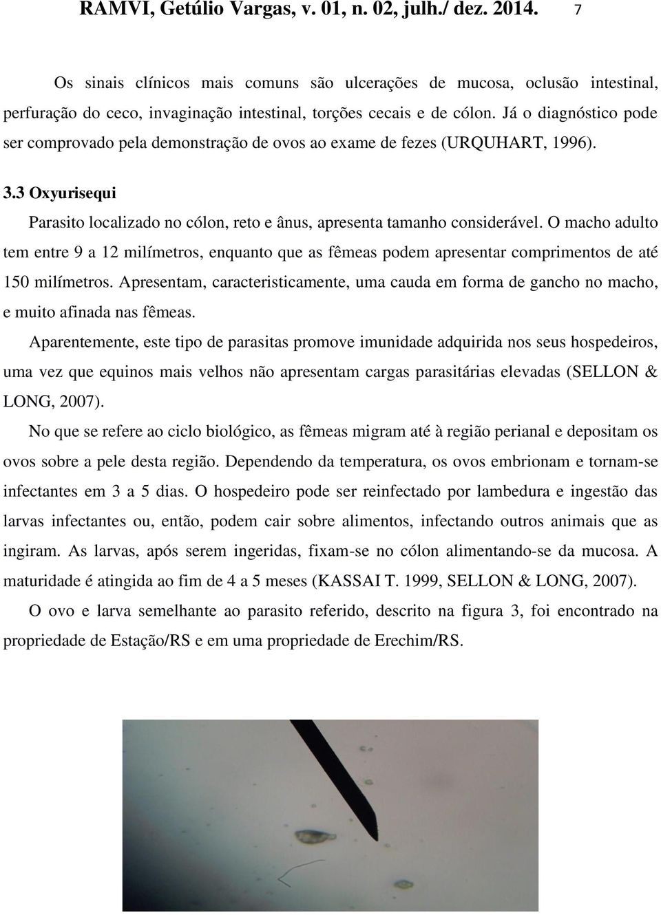 Já o diagnóstico pode ser comprovado pela demonstração de ovos ao exame de fezes (URQUHART, 1996). 3.3 Oxyurisequi Parasito localizado no cólon, reto e ânus, apresenta tamanho considerável.