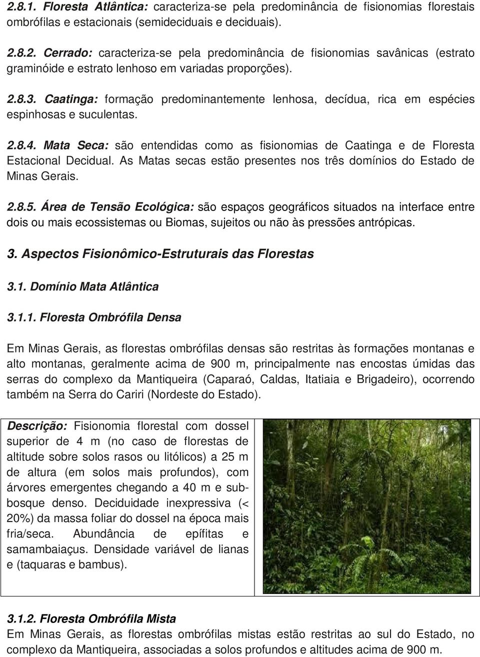 Mata Seca: são entendidas como as fisionomias de Caatinga e de Floresta Estacional Decidual. As Matas secas estão presentes nos três domínios do Estado de Minas Gerais. 2.8.5.