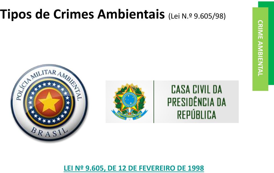 605/98) CRIME AMBIENTAL