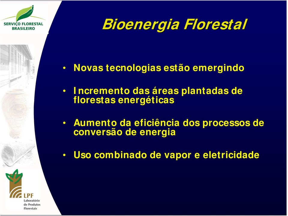 florestas energéticas Aumento da eficiência dos