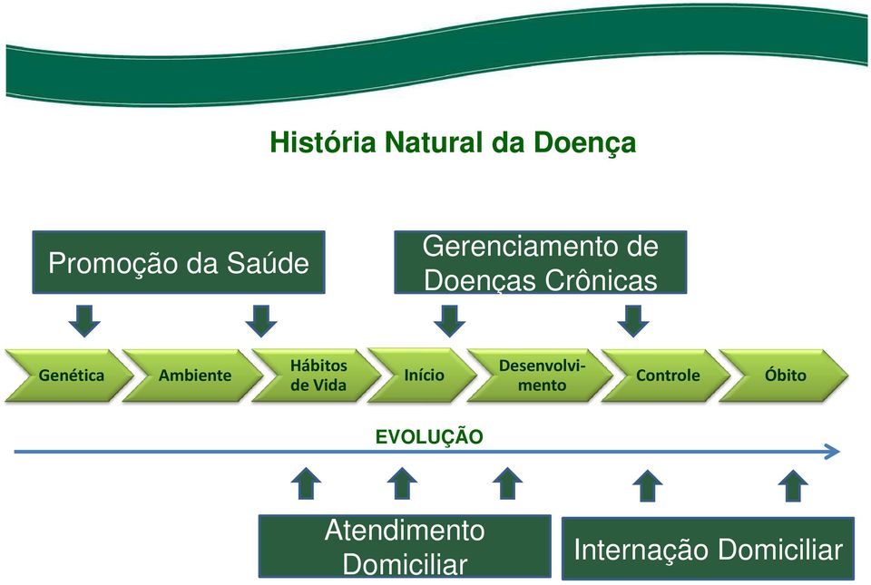 Ambiente Hábitos de Vida Início Desenvolvimento