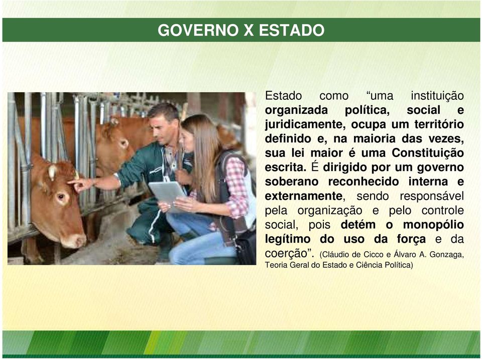 É dirigido por um governo soberano reconhecido interna e externamente, sendo responsável pela organização e pelo