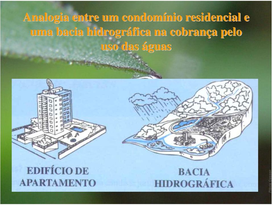 residencial e uma bacia