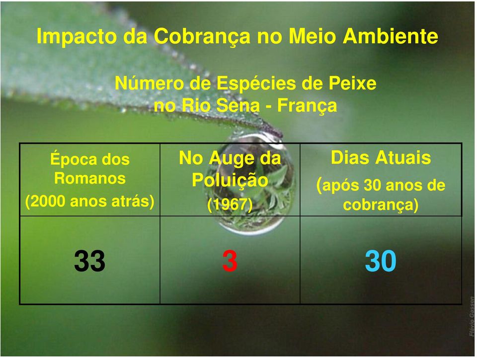 Romanos (2000 anos atrás) No Auge da Poluição