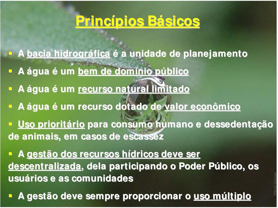 e dessedentação de animais, em casos de escassez A gestão dos recursos hídricos h deve ser descentralizada,,