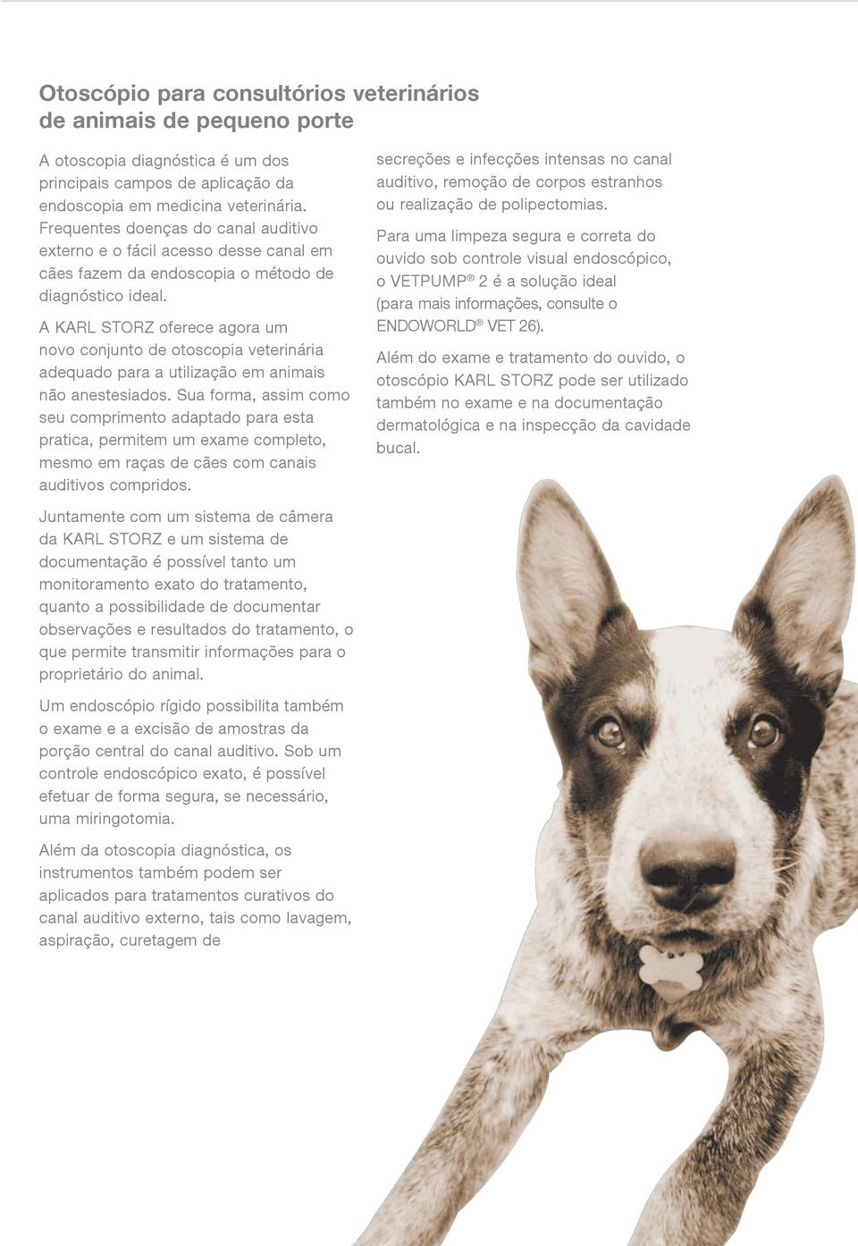 A KARL STORZ oferece agora um novo conjunto de otoscopia veterinária adequado para a utilização em animais não anestesiados.