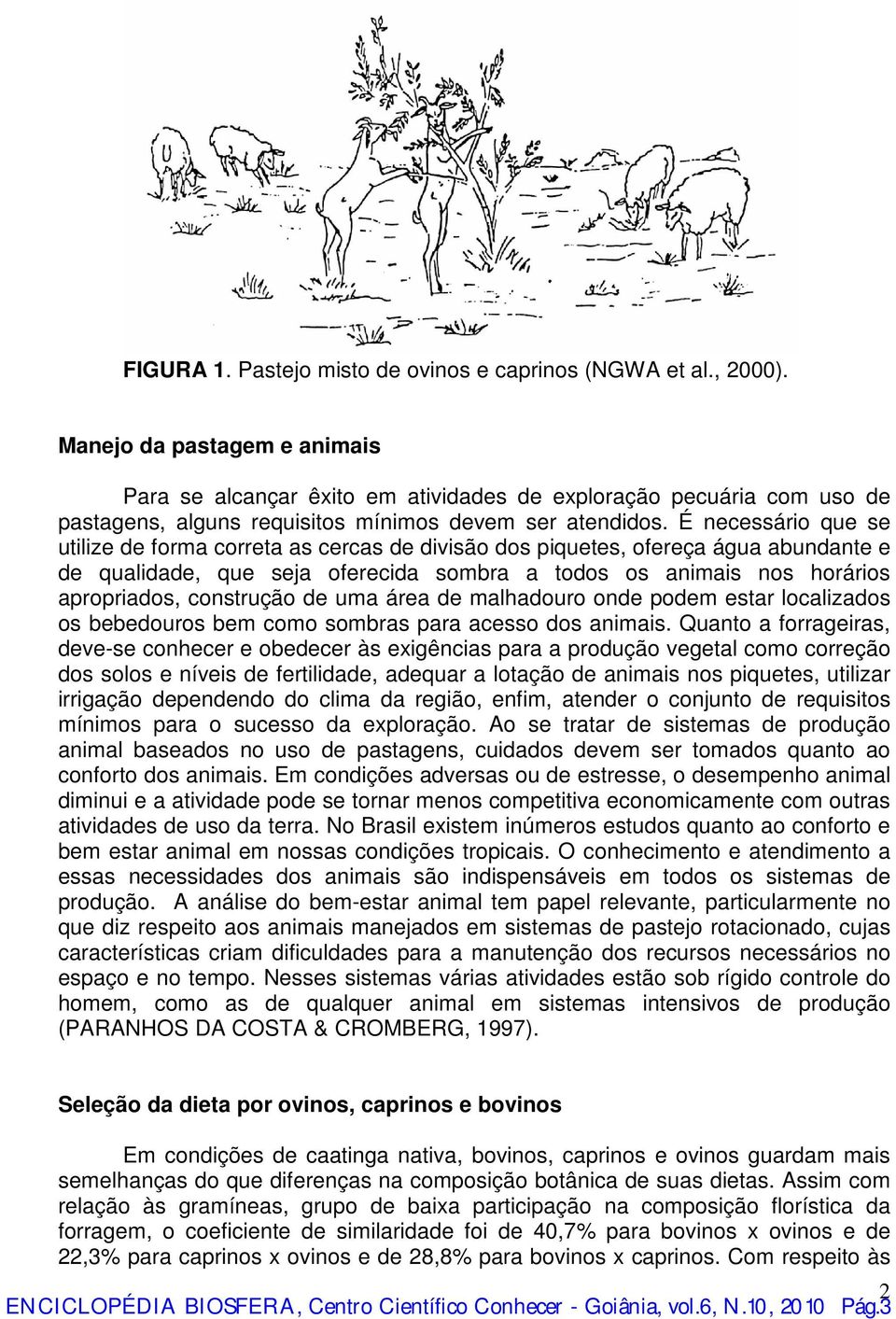 É necessário que se utilize de forma correta as cercas de divisão dos piquetes, ofereça água abundante e de qualidade, que seja oferecida sombra a todos os animais nos horários apropriados,