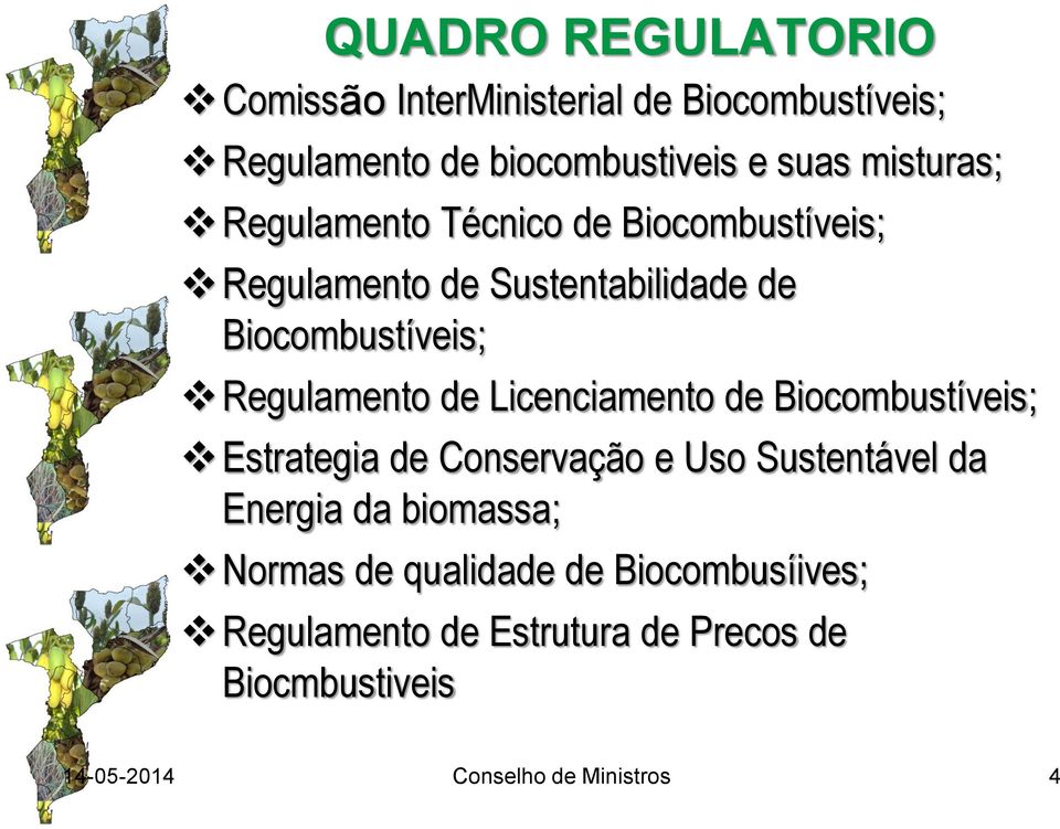 Regulamento de Licenciamento de Biocombustíveis; Estrategia de Conservação e Uso Sustentável da Energia da