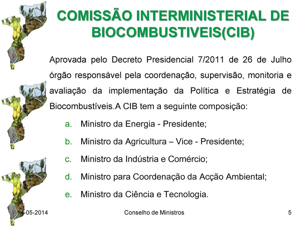 A CIB tem a seguinte composição: a. Ministro da Energia - Presidente; b. Ministro da Agricultura Vice - Presidente; c.