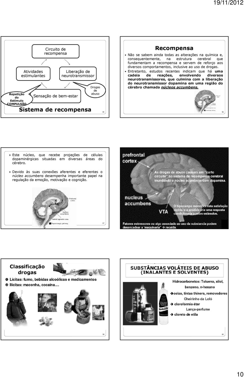 Entretanto, estudos recentes indicam que há uma cadeia de reações, envolvendo diversos neurotransmissores, que culmina com a liberação do neurotransmissor dopamina em uma região do cérebro chamada