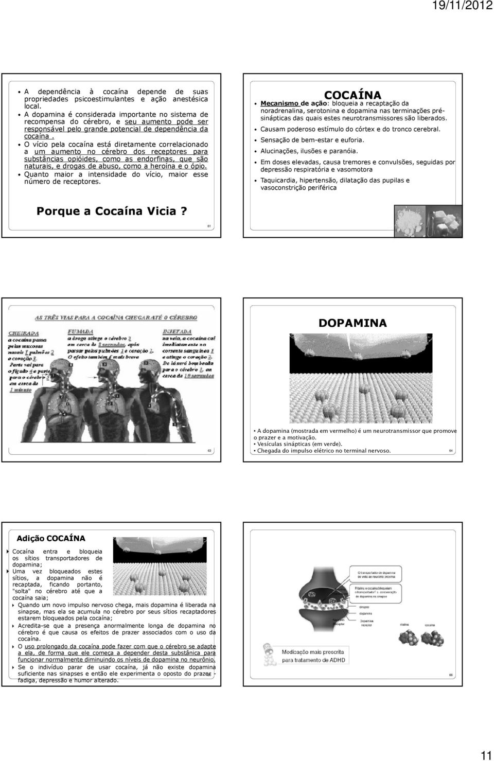 O vício pela cocaína está diretamente correlacionado a um aumento no cérebro dos receptores para substâncias opióides, como as endorfinas, que são naturais, e drogas de abuso, como a heroína e o ópio.