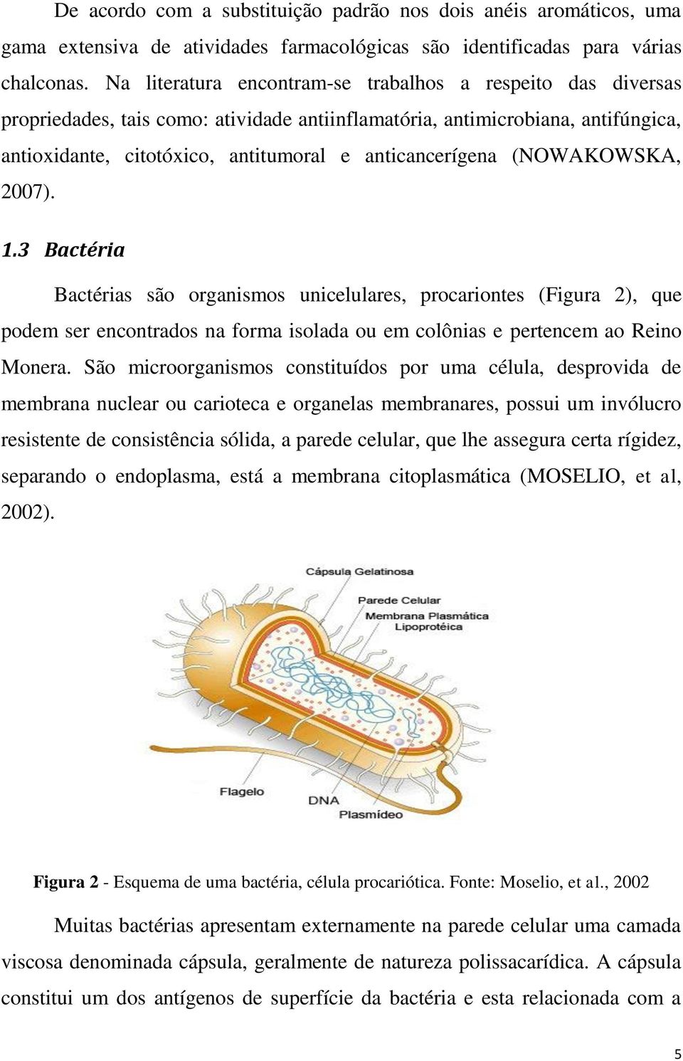 (NOWAKOWSKA, 2007). 1.3 Bactéria Bactérias são organismos unicelulares, procariontes (Figura 2), que podem ser encontrados na forma isolada ou em colônias e pertencem ao Reino Monera.