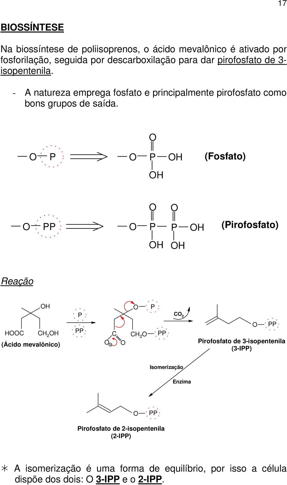 P P (Fosfato) PP P P (Pirofosfato) Reação (Ácido mevalônico) P PP - P PP 2 PP Pirofosfato de 3-isopentenila (3-IPP) Isomerização