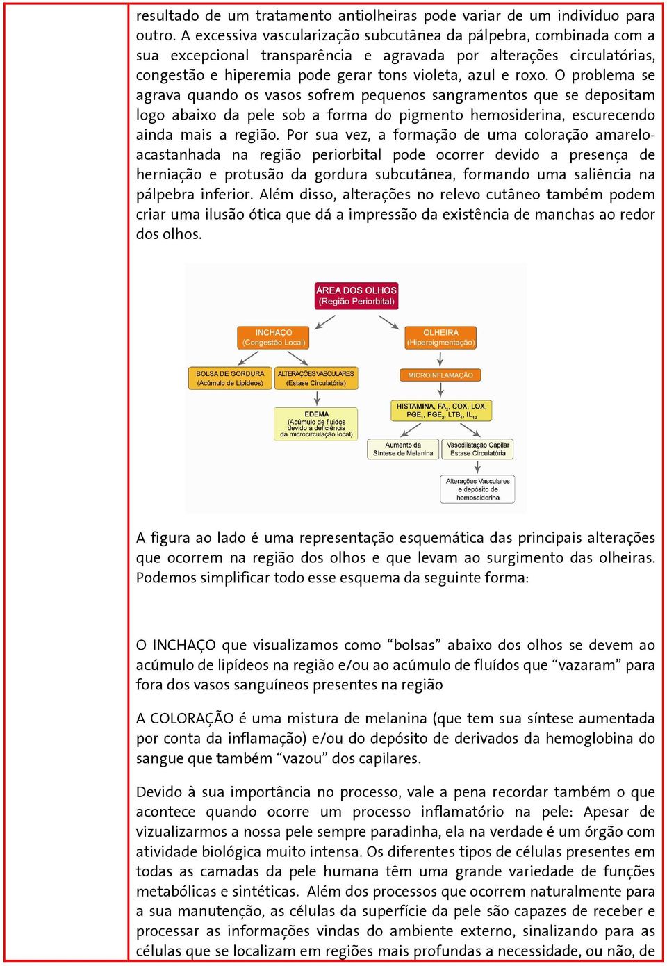 O problema se agrava quando os vasos sofrem pequenos sangramentos que se depositam logo abaixo da pele sob a forma do pigmento hemosiderina, escurecendo ainda mais a região.