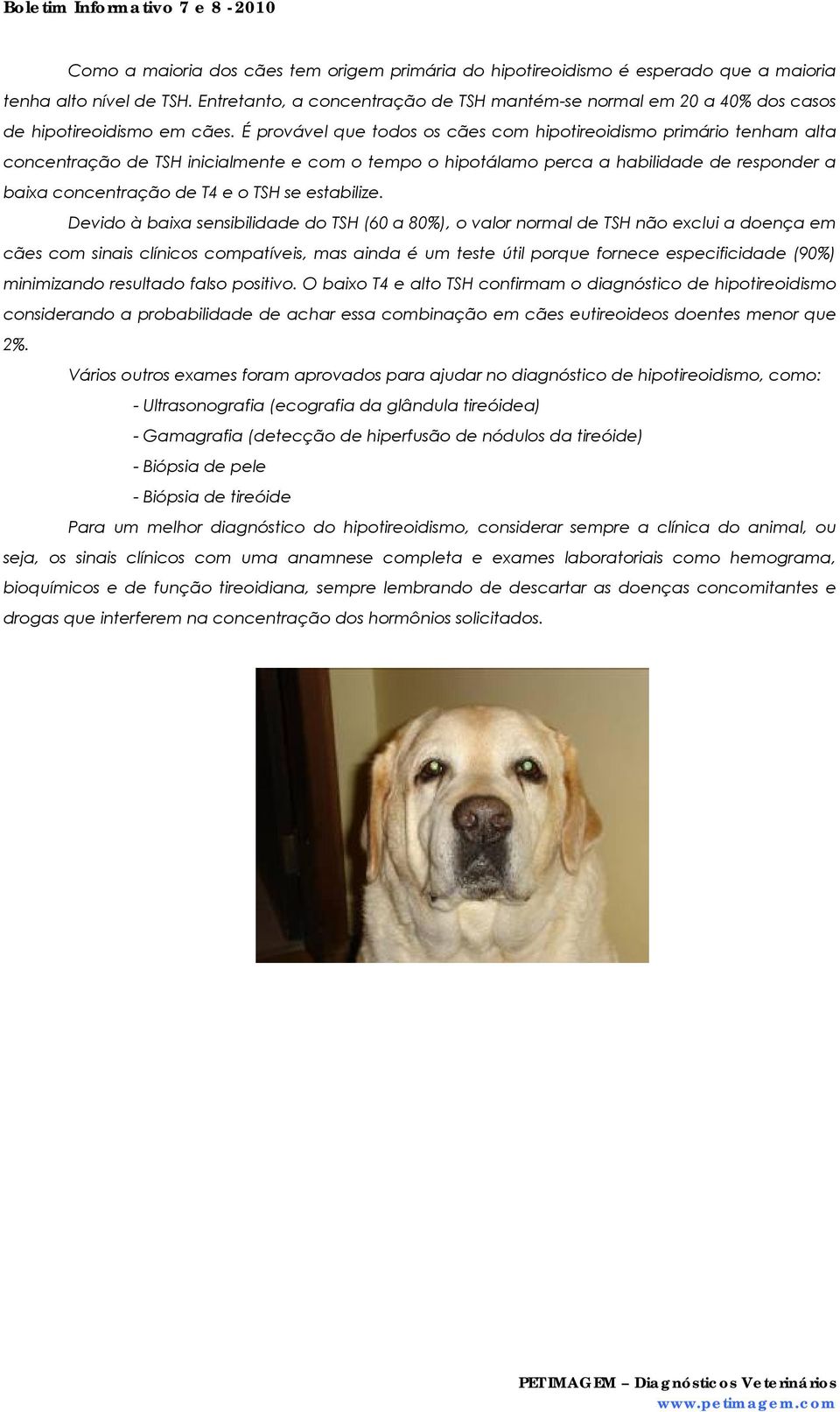 É provável que todos os cães com hipotireoidismo primário tenham alta concentração de TSH inicialmente e com o tempo o hipotálamo perca a habilidade de responder a baixa concentração de T4 e o TSH se