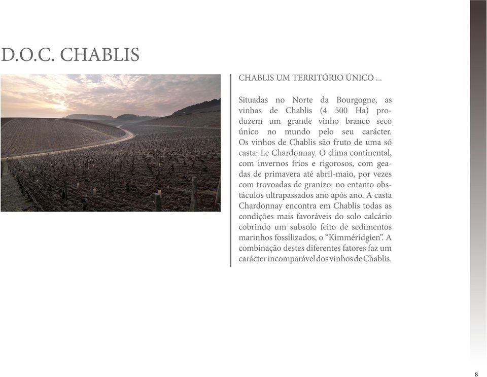 Os vinhos de Chablis são fruto de uma só casta: Le Chardonnay.