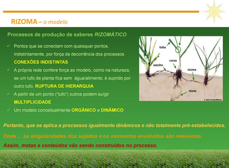 RUPTURA DE HIERARQUIA A partir de um ponto ( tufo ) outros podem surgir MULTIPLICIDADE Um modelo conceitualmente ORGÂNICO e DINÂMICO Portanto, que se aplica a processos