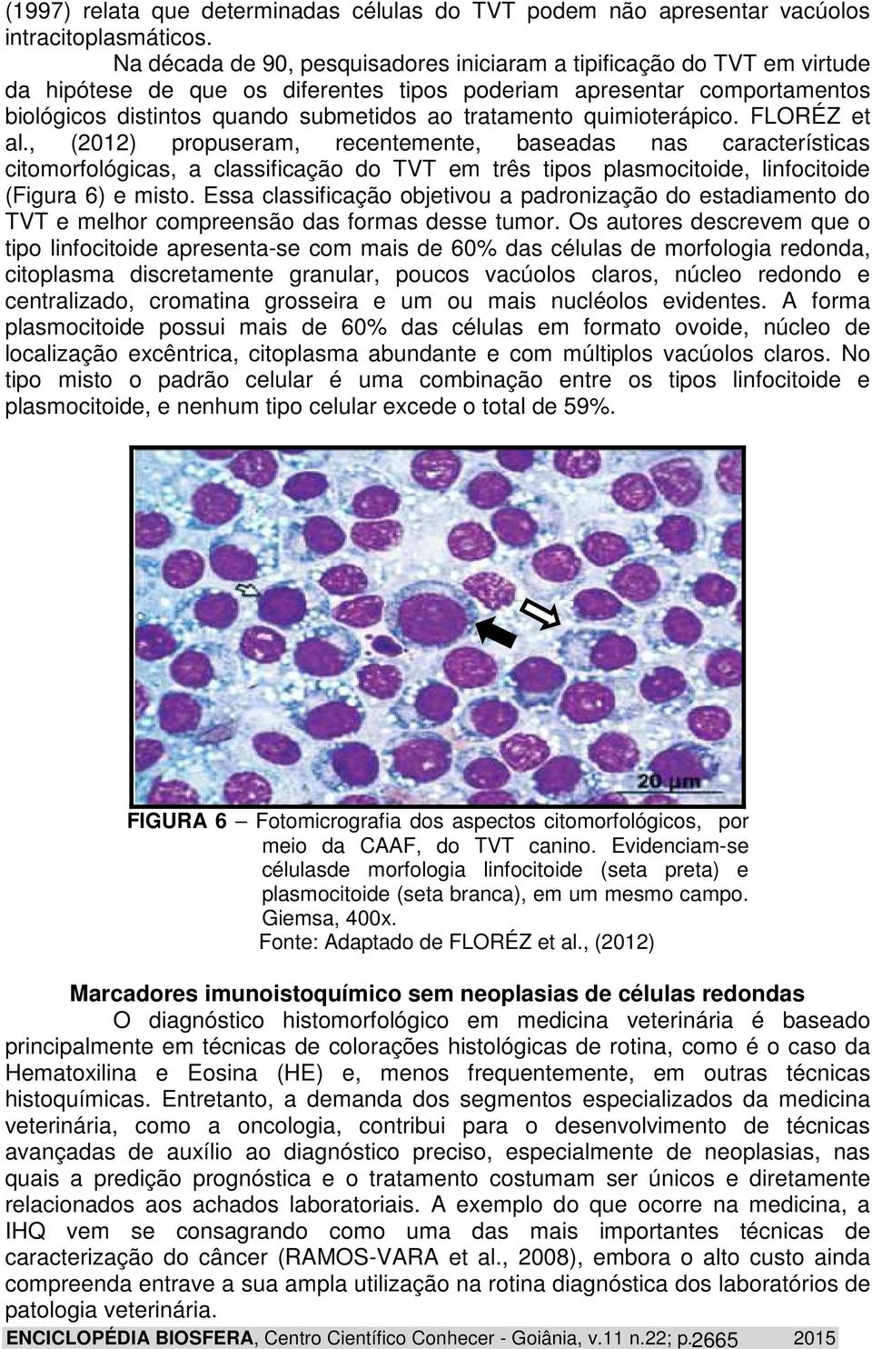 quimioterápico. FLORÉZ et al., (2012) propuseram, recentemente, baseadas nas características citomorfológicas, a classificação do TVT em três tipos plasmocitoide, linfocitoide (Figura 6) e misto.