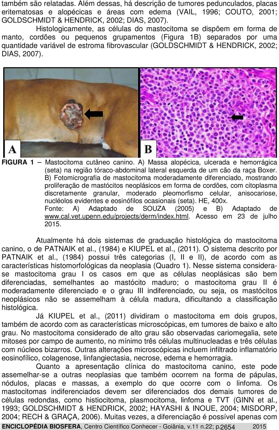 HENDRICK, 2002; DIAS, 2007). FIGURA 1 Mastocitoma cutâneo canino. A) Massa alopécica, ulcerada e hemorrágica (seta) na região tóraco-abdominal lateral esquerda de um cão da raça Boxer.
