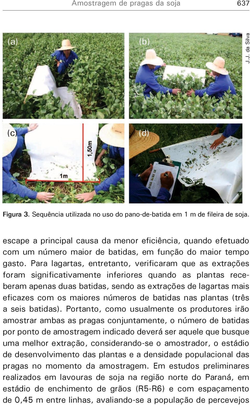 Para lagartas, entretanto, verificaram que as extrações foram significativamente inferiores quando as plantas receberam apenas duas batidas, sendo as extrações de lagartas mais eficazes com os