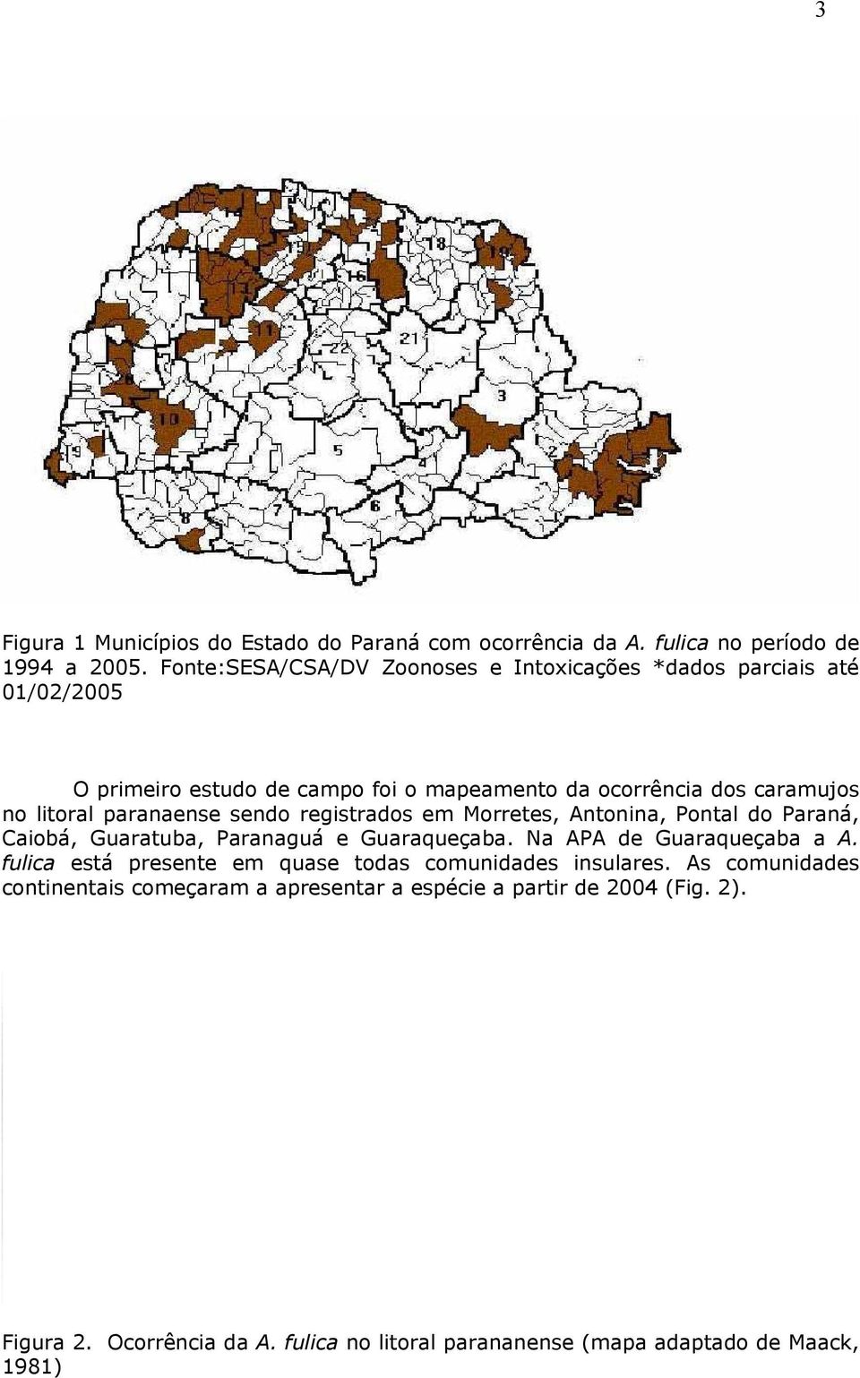 paranaense sendo registrados em Morretes, Antonina, Pontal do Paraná, Caiobá, Guaratuba, Paranaguá e Guaraqueçaba. Na APA de Guaraqueçaba a A.