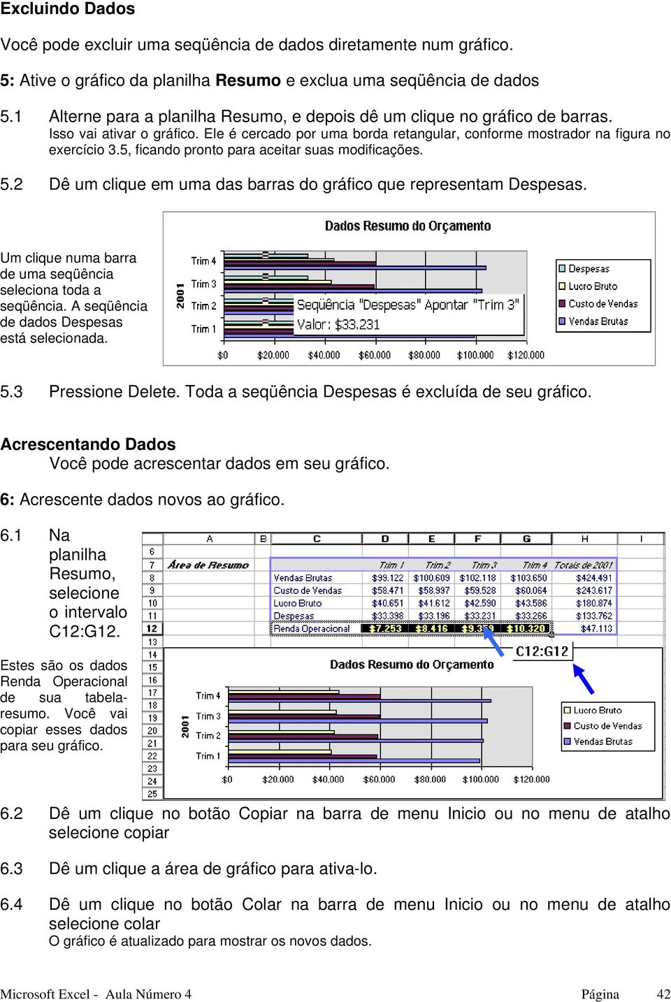 5, ficando pronto para aceitar suas modificações. 5.2 Dê um clique em uma das barras do gráfico que representam Despesas. Um clique numa barra de uma seqüência seleciona toda a seqüência.