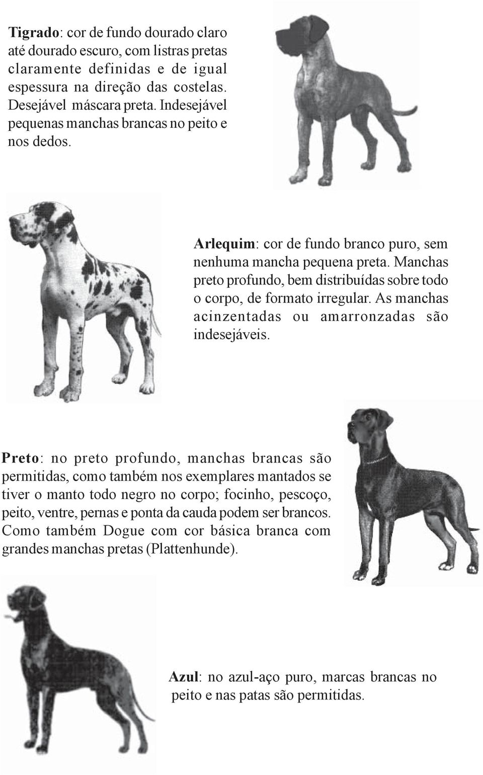 Manchas preto profundo, bem distribuídas sobre todo o corpo, de formato irregular. As manchas acinzentadas ou amarronzadas são indesejáveis.