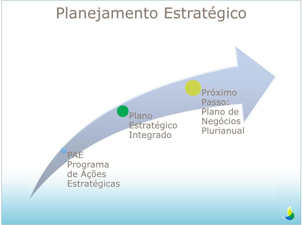 Passo: Plano de Negócios