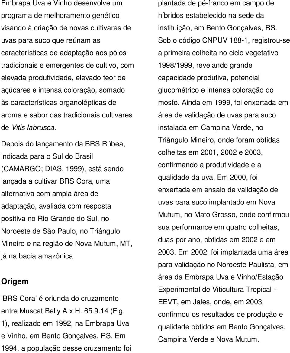 Depois do lançamento da BRS Rúbea, indicada para o Sul do Brasil (CAMARGO; DIAS, 1999), está sendo lançada a cultivar BRS Cora, uma alternativa com ampla área de adaptação, avaliada com resposta