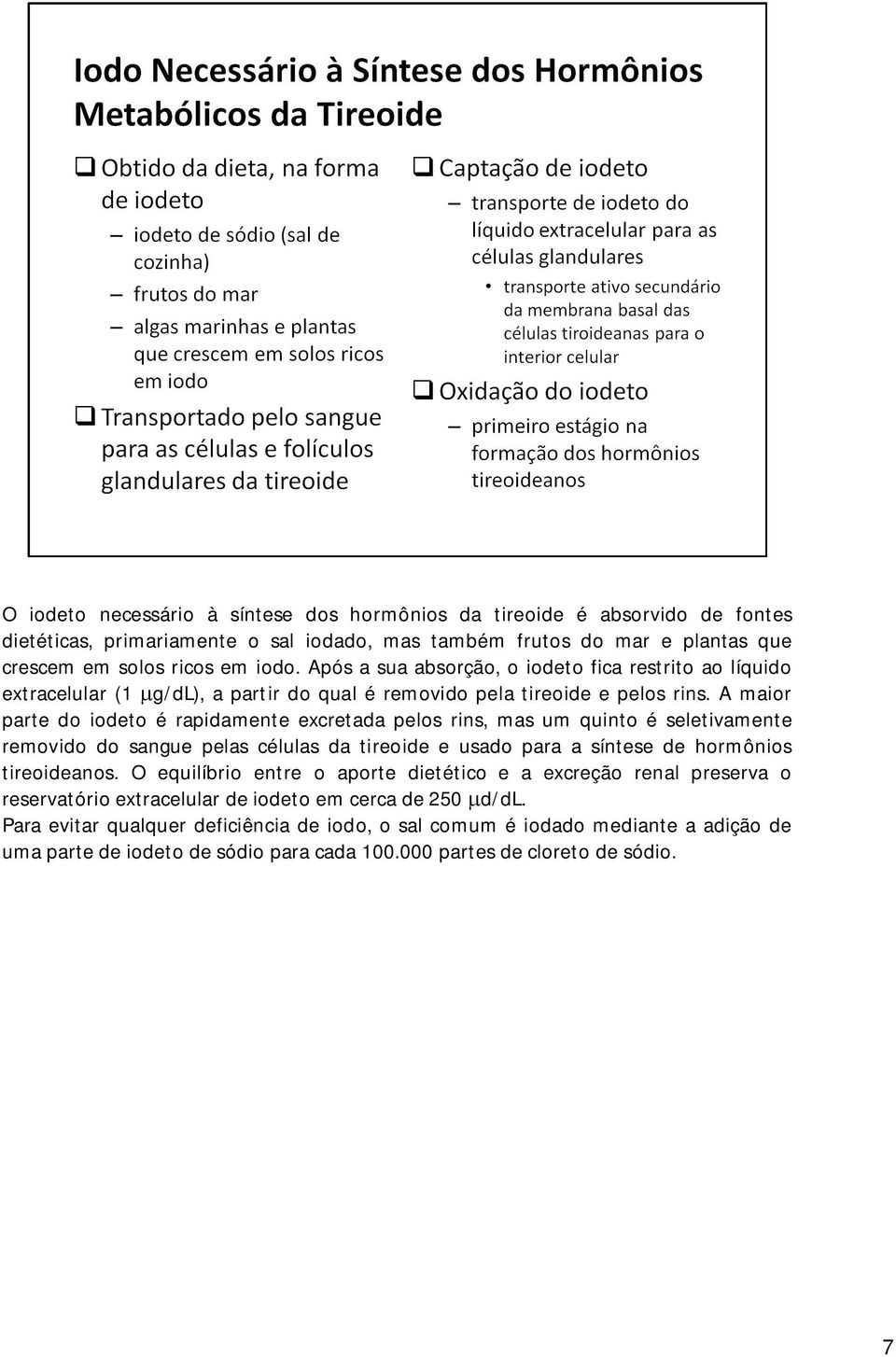 A maior parte do iodeto é rapidamente excretada pelos rins, mas um quinto é seletivamente removido do sangue pelas células da tireoide e usado para a síntese de hormônios tireoideanos.