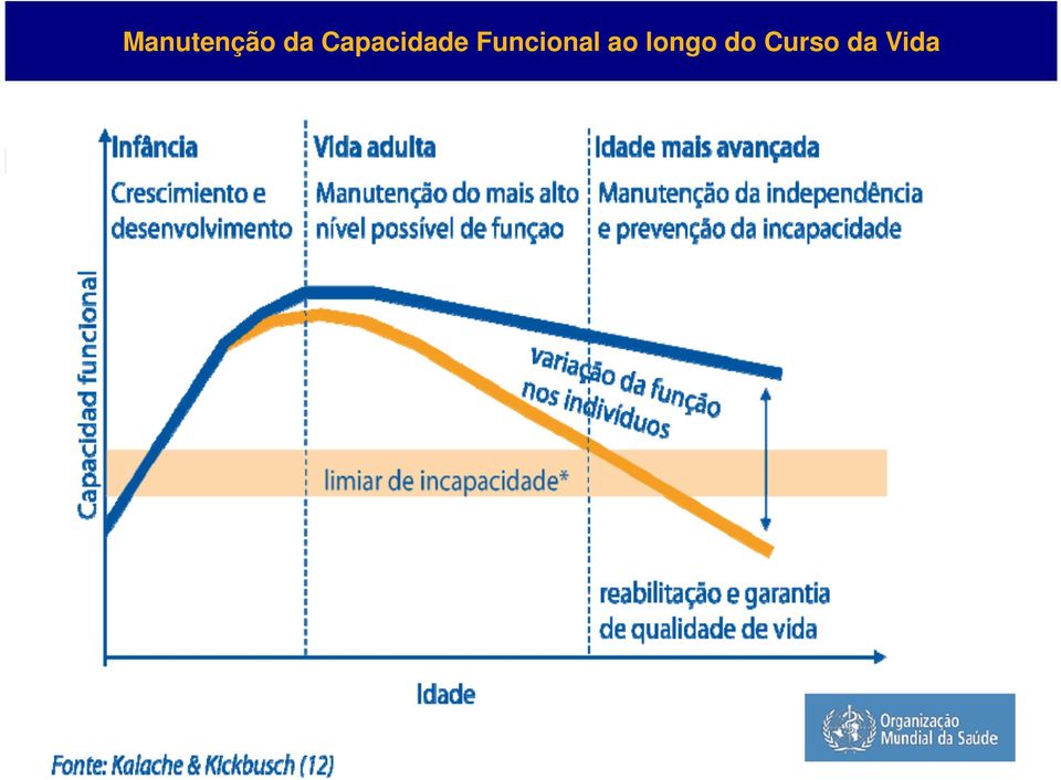 Curso da Vida ASSOCIAÇÃO