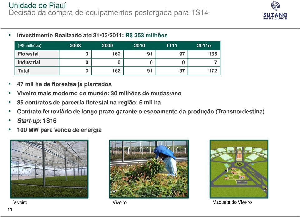 plantados Viveiro mais moderno do mundo: 30 milhões de mudas/ano 35 contratos de parceria florestal na região: 6 mil ha Contrato