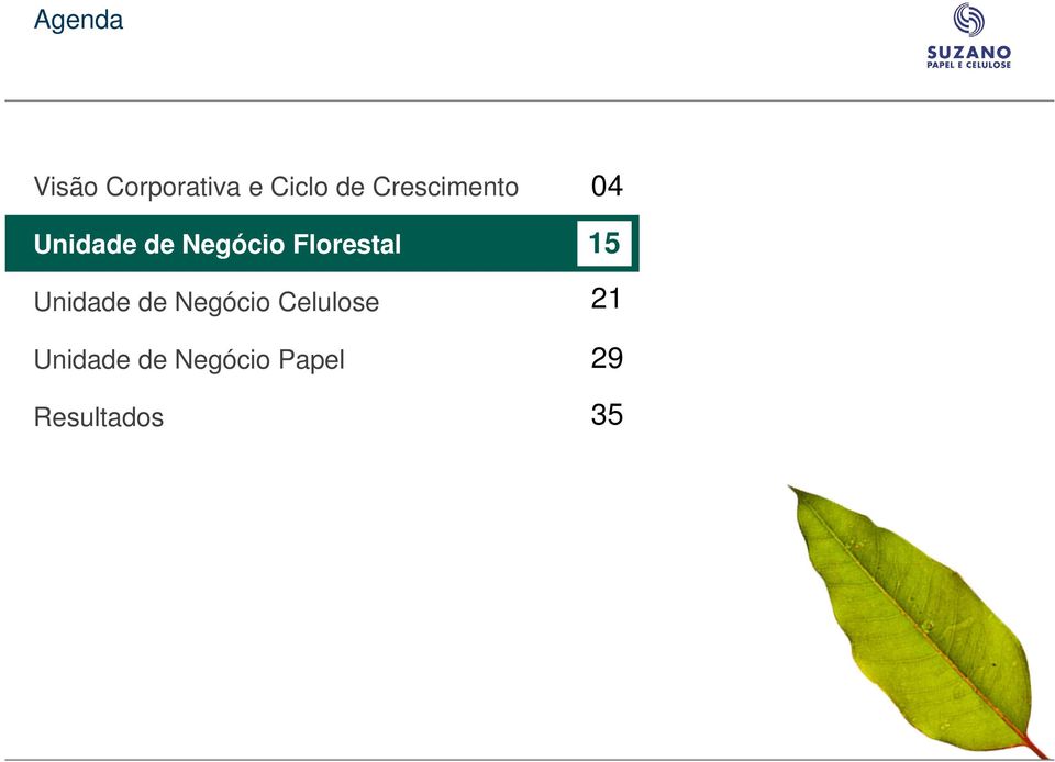 Florestal Unidade de Negócio Celulose