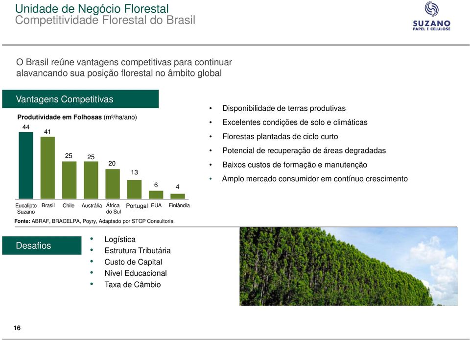 curto Potencial de recuperação de áreas degradadas Baixos custos de formação e manutenção Amplo mercado consumidor em contínuo crescimento Eucalipto Suzano Brasil Chile Austrália