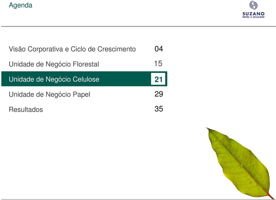 Florestal Unidade de Negócio Celulose